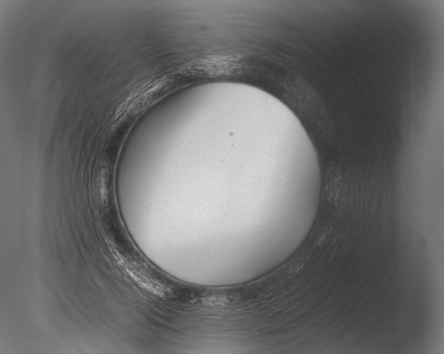 X0000085070740200703261231