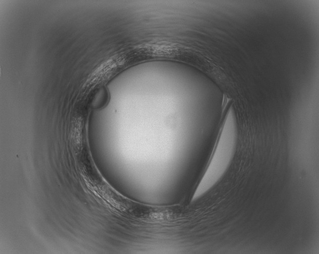 X0000085070744200703261231