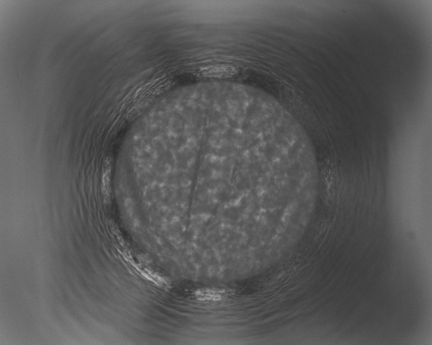 X0000085070745200703261231