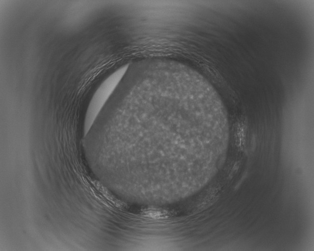 X0000085070746200703261231