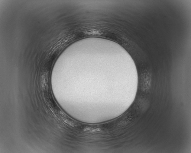 X0000085070747200703261231