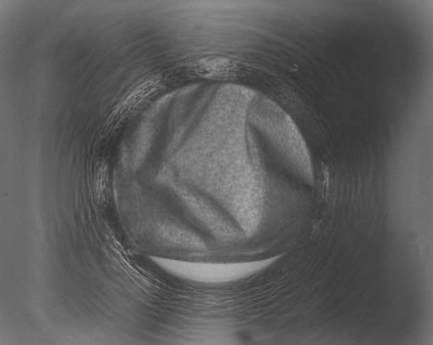 X0000085070748200703261231