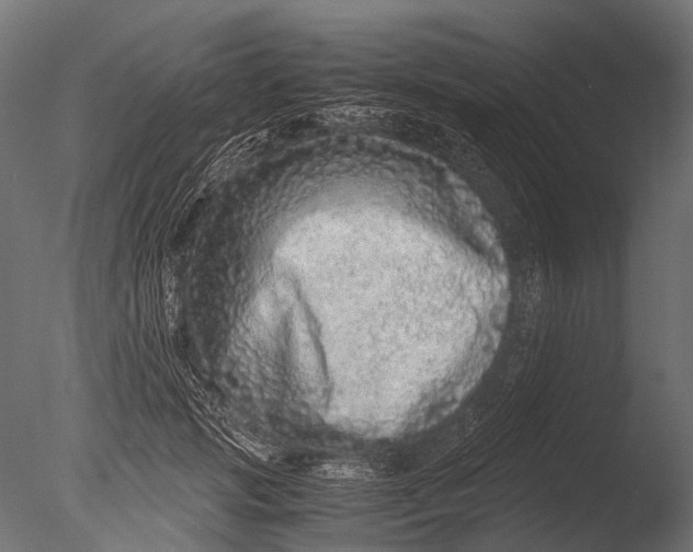 X0000085070749200703261231