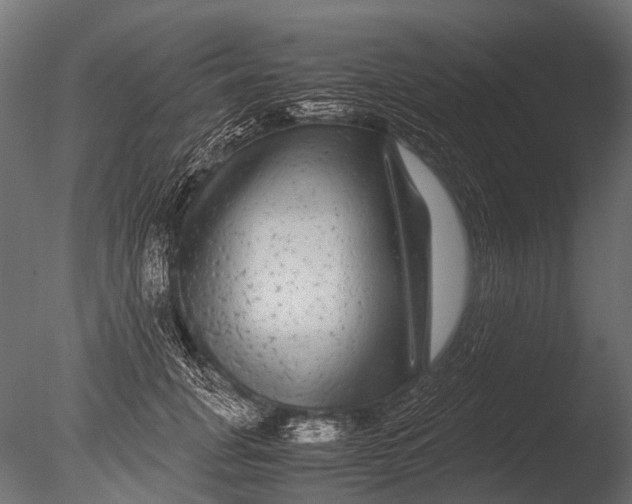 X0000085070751200703261231