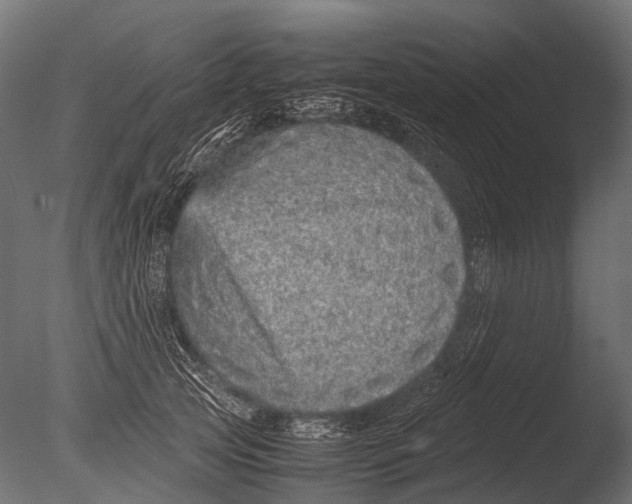 X0000085070753200703261231