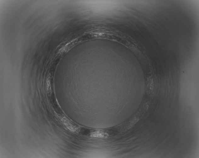 X0000085070754200703261231