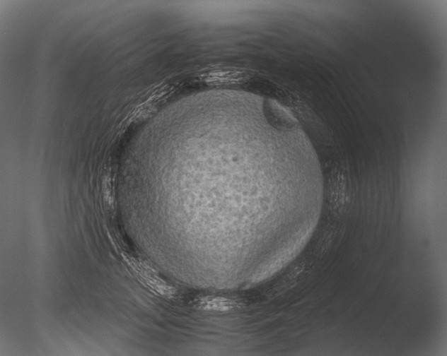 X0000085070755200703261231