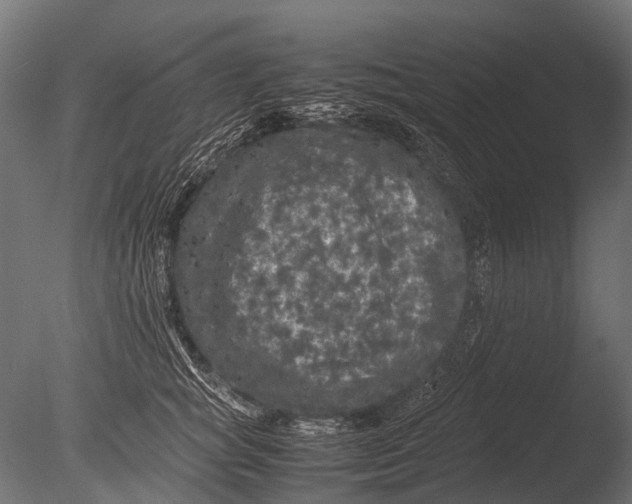 X0000085070757200703261231