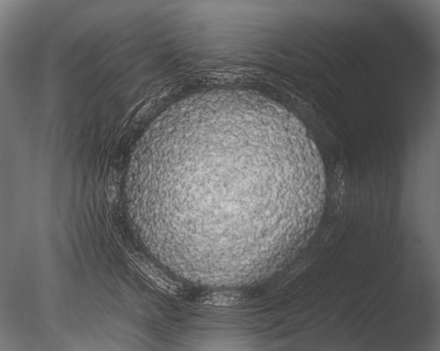 X0000085070758200703261231