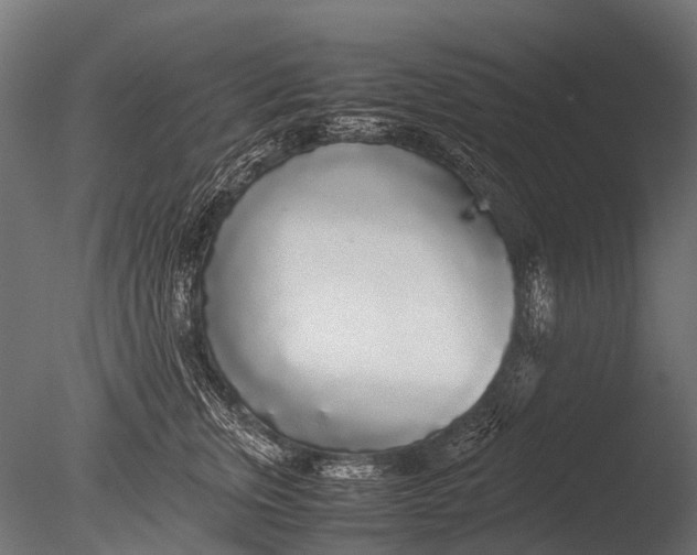 X0000085070759200703261231