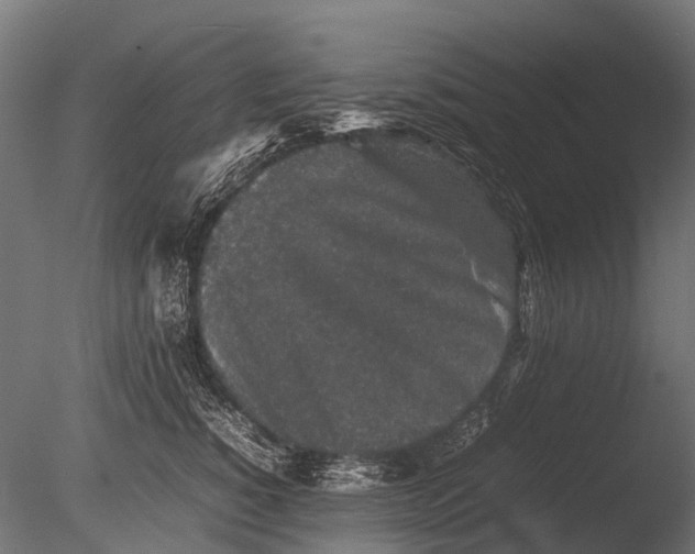 X0000085070760200703261231