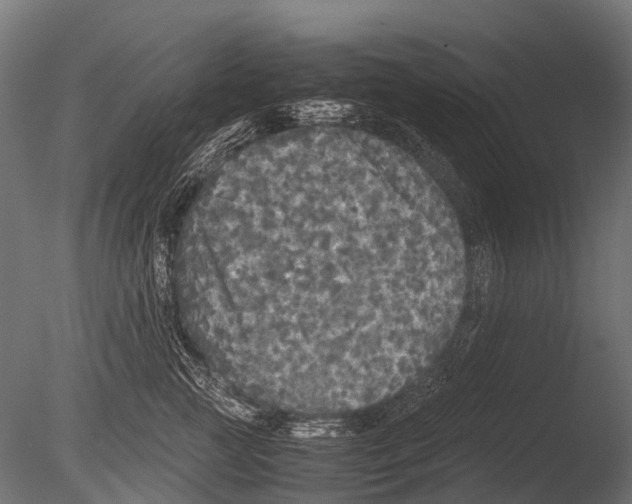 X0000085070761200703261231