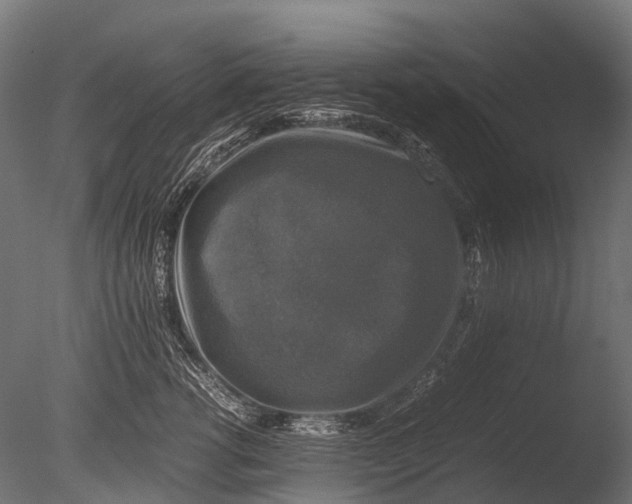 X0000085070762200703261231