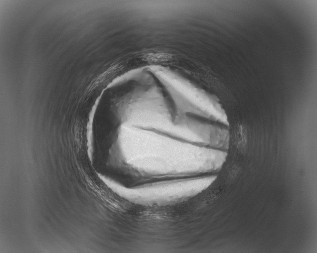 X0000085070763200703261231