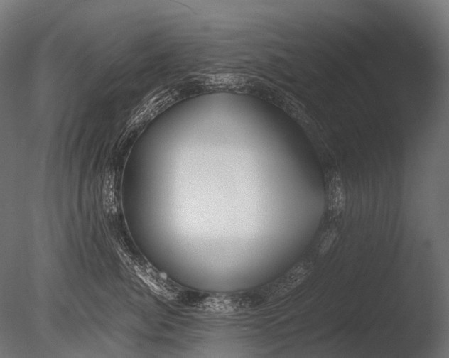 X0000085070764200703261231