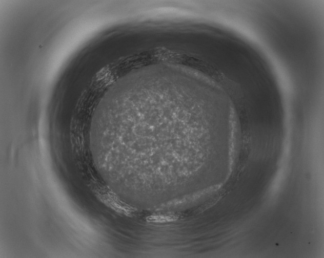 X0000085070765200703261231