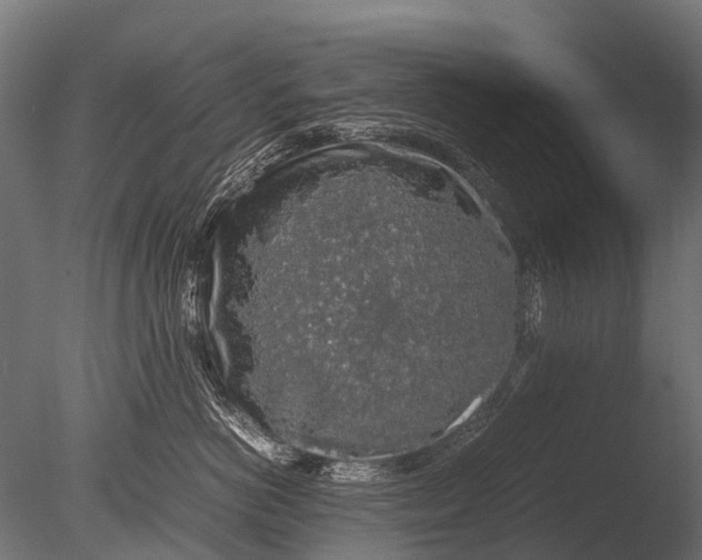 X0000085070766200703261231