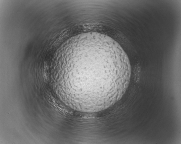 X0000085070770200703261230