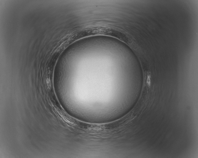 X0000085070771200703261230