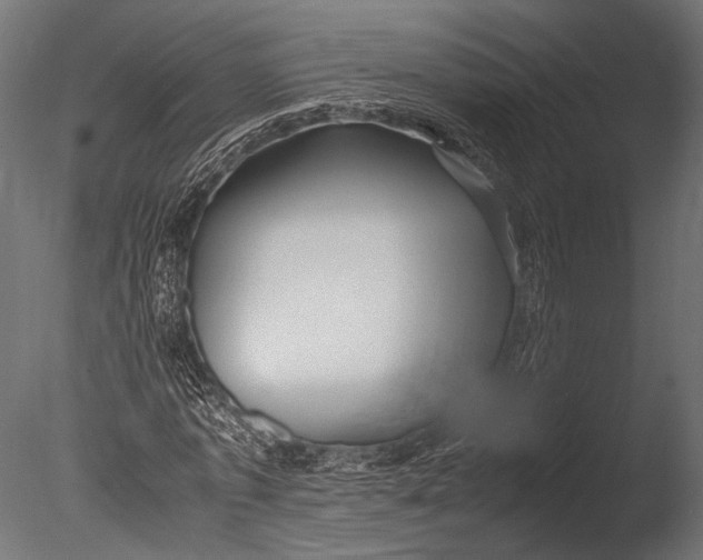 X0000085070773200703261230