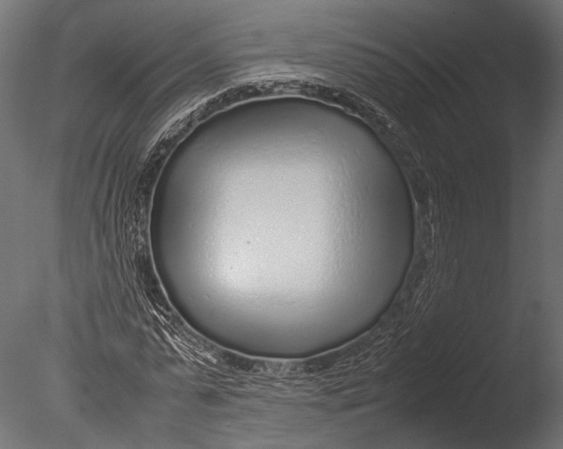 X0000085070775200703261230