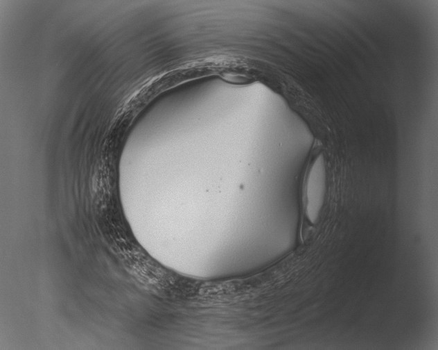 X0000085070776200703261230