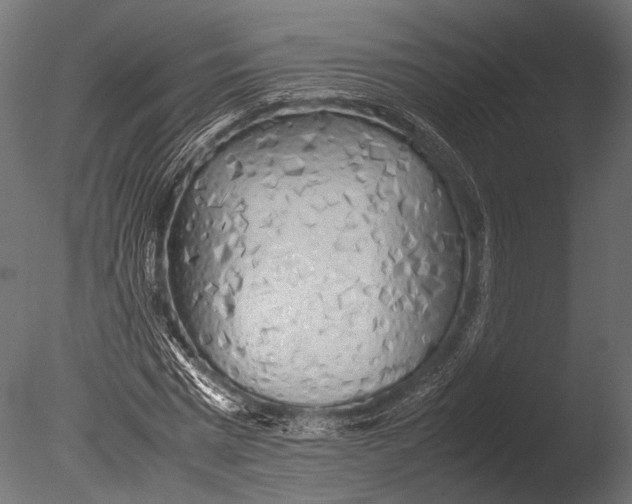 X0000085070777200703261230