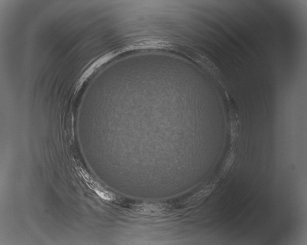 X0000085070781200703261230