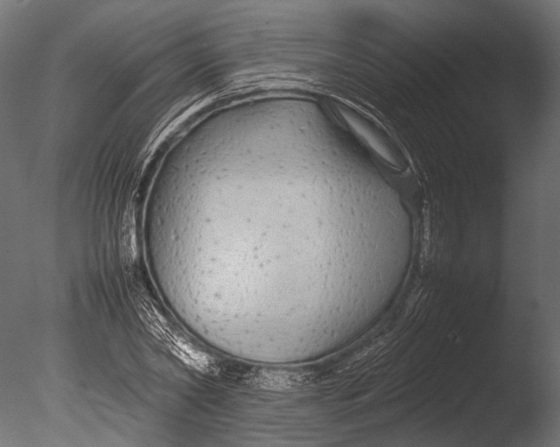 X0000085070782200703261230