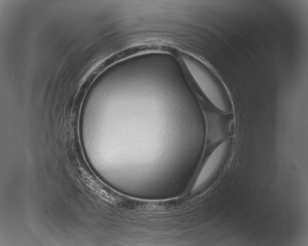 X0000085070783200703261230