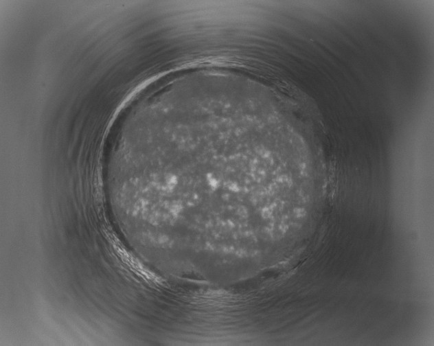 X0000085070784200703261230