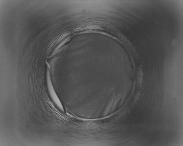 X0000085070785200703261230