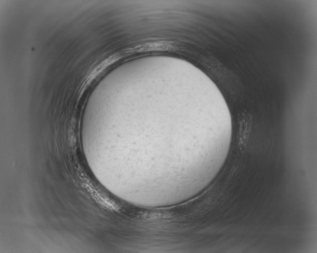 X0000085070786200703261230