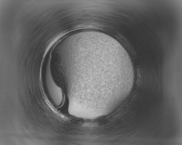 X0000085070788200703261230