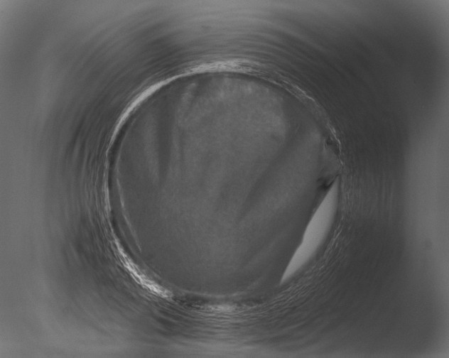 X0000085070792200703261230