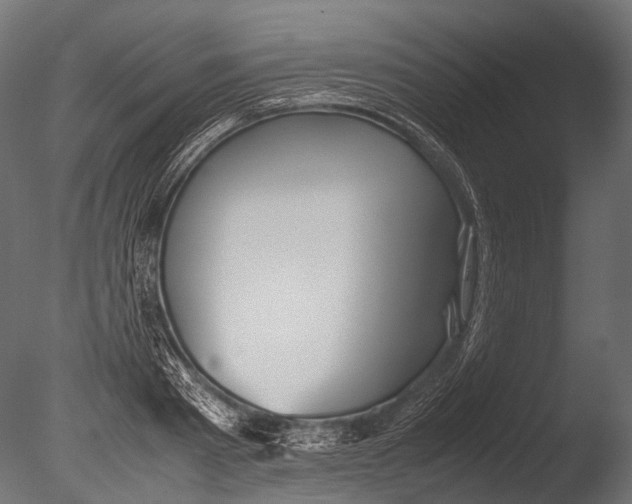 X0000085070793200703261230