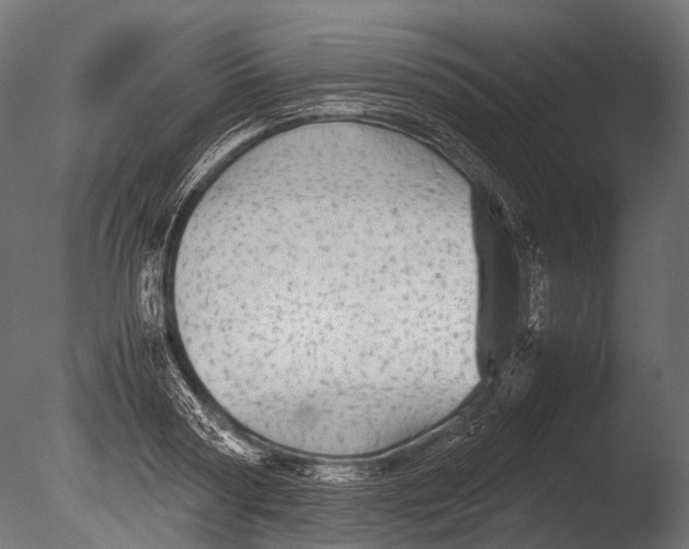 X0000085070794200703261230