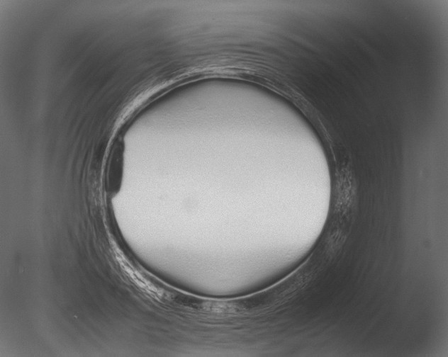 X0000085070795200703261230