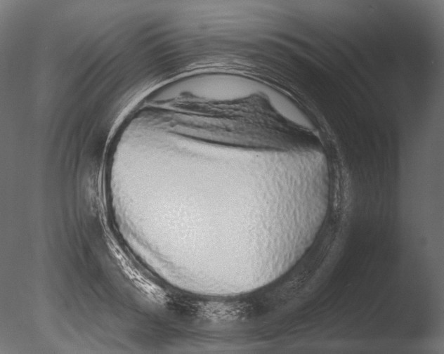 X0000085070796200703261230