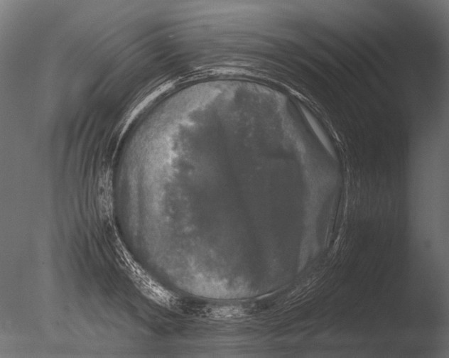 X0000085070798200703261230