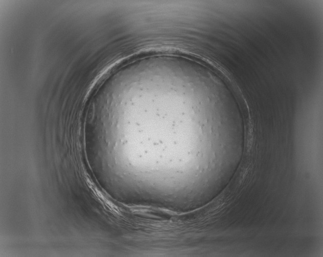 X0000085070799200703261230