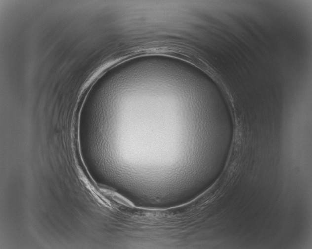 X0000085070803200703261230