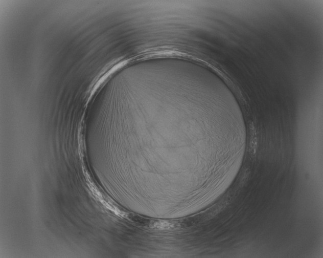 X0000085070806200703261230