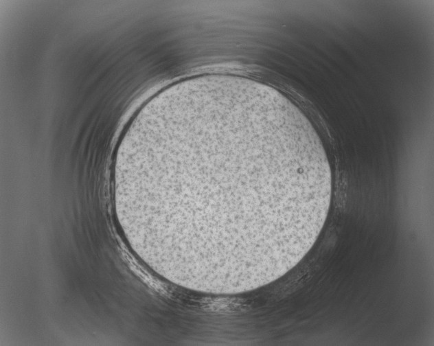 X0000085070808200703261230