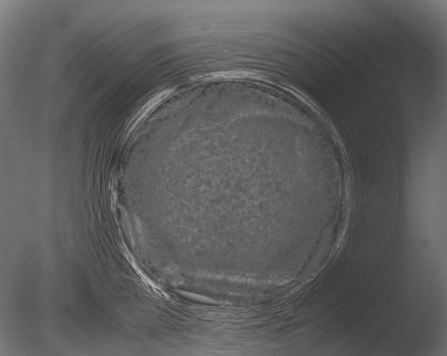 X0000085070809200703261230