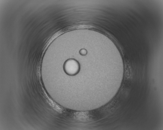 X0000085070810200703261230