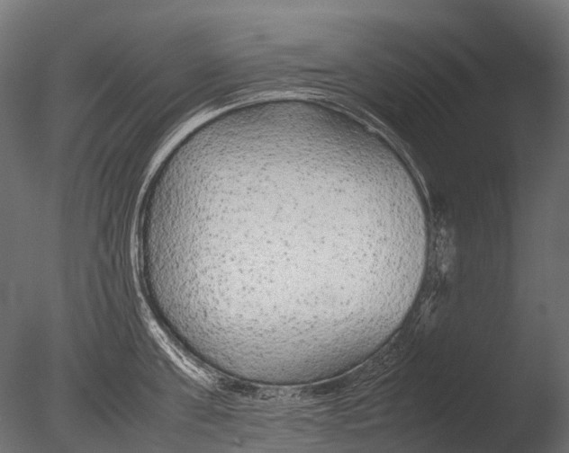 X0000085070811200703261230