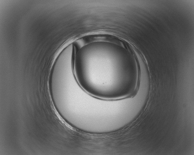 X0000085070813200703261230