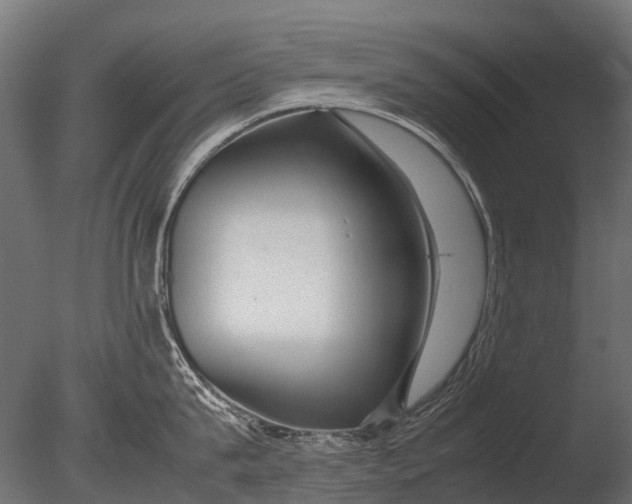 X0000085070815200703261230