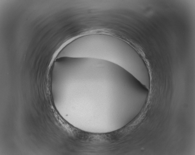 X0000085070816200703261230